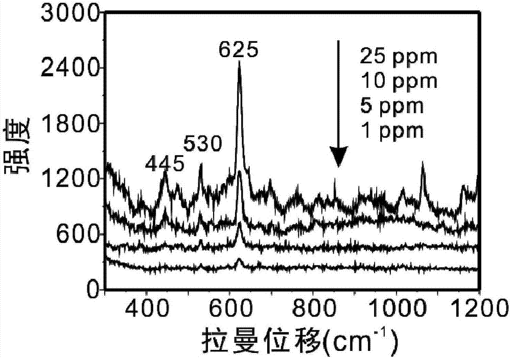 Orientated surface enhanced Raman spectrum detection method based on high-activity site