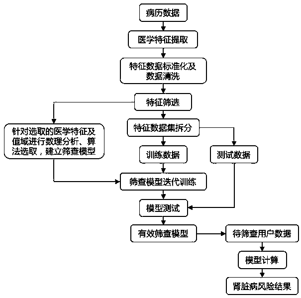 Method for constructing AI chronic kidney disease screening model and chronic kidney disease screening method and system