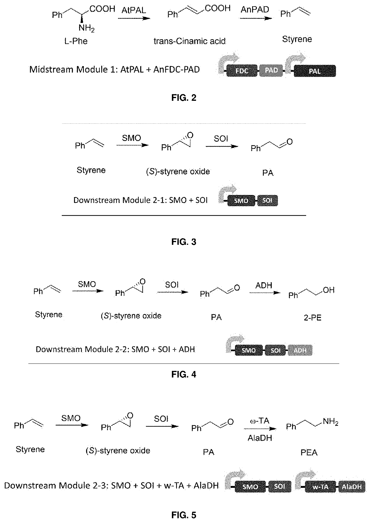 Bioproduction of phenethyl alcohol, aldehyde, acid, amine, and related compounds