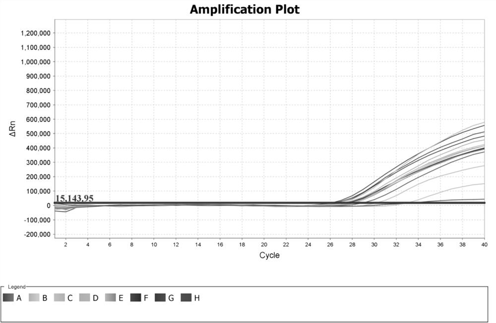 DNA extraction and identification method of forest frog oil