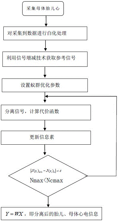 Fetal electrocardiogram accurate extraction method based on ant colony constraint blind source separation