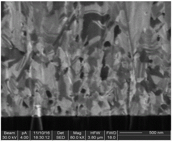 Method for producing electroplated copper layer with preferential orientation growth structure, and application thereof