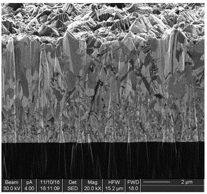 Method for producing electroplated copper layer with preferential orientation growth structure, and application thereof