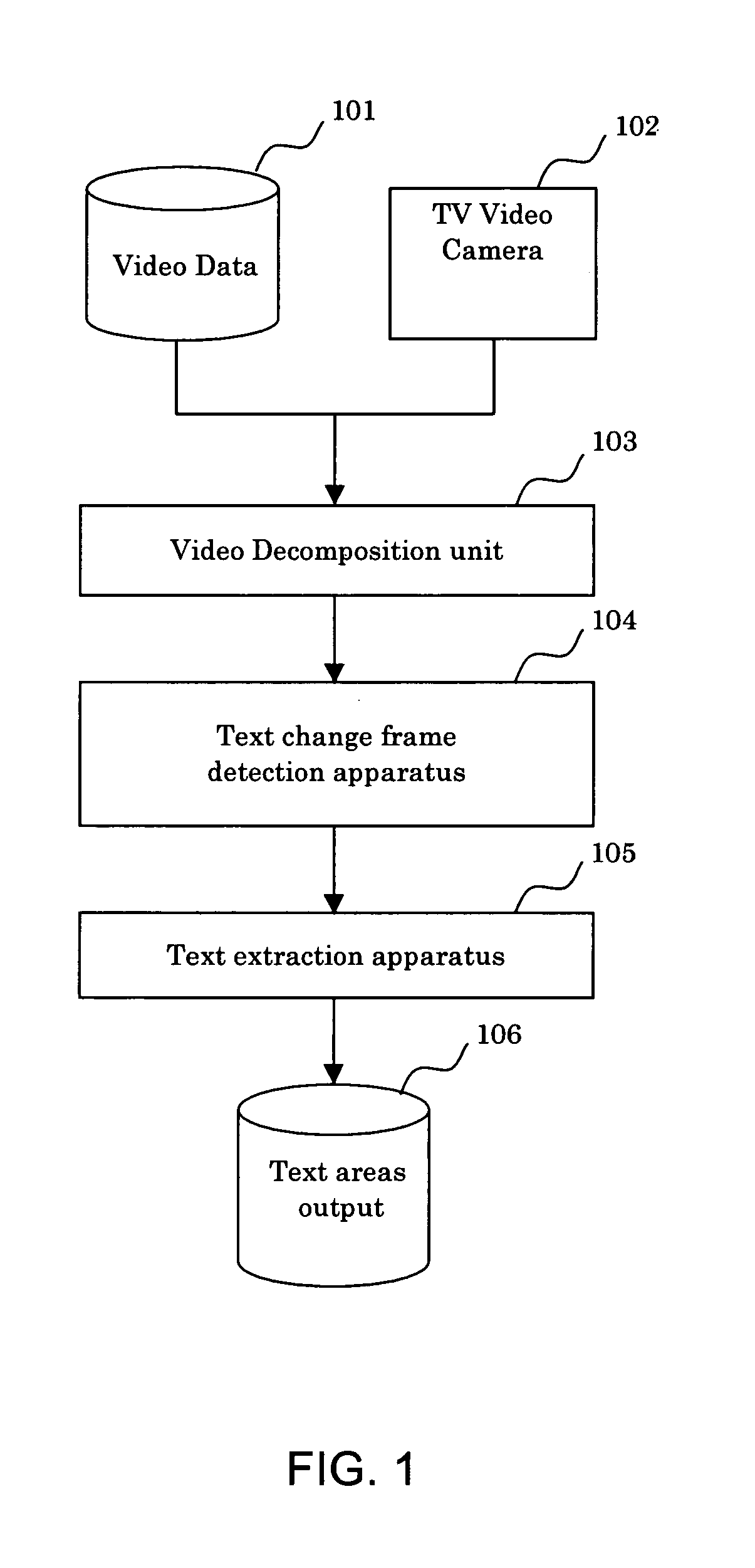 Video text processing apparatus