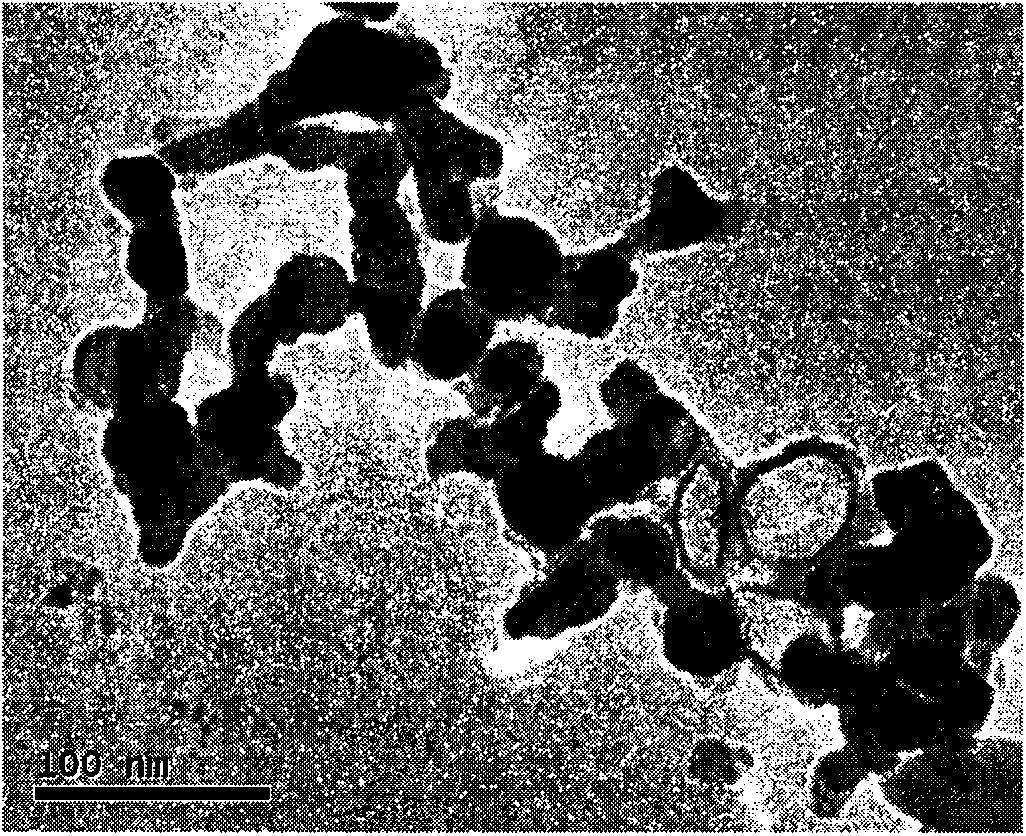 Method for manufacturing magnetic loading type nanometer catalyst TiO2/Fe2O4