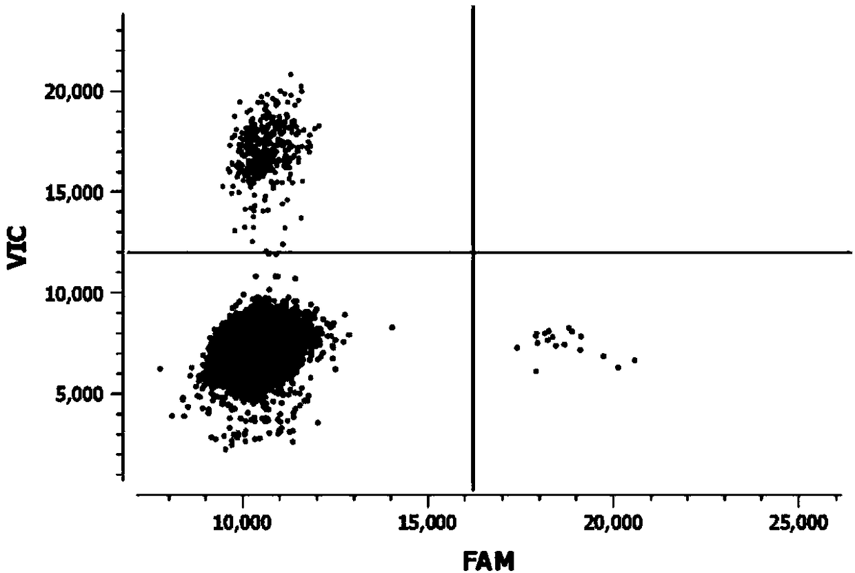 Kit and method for extracting circulating DNA in plasma