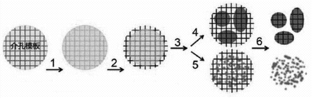 Method for preparing ordered mesoporous metal oxide material with adjustable particle size