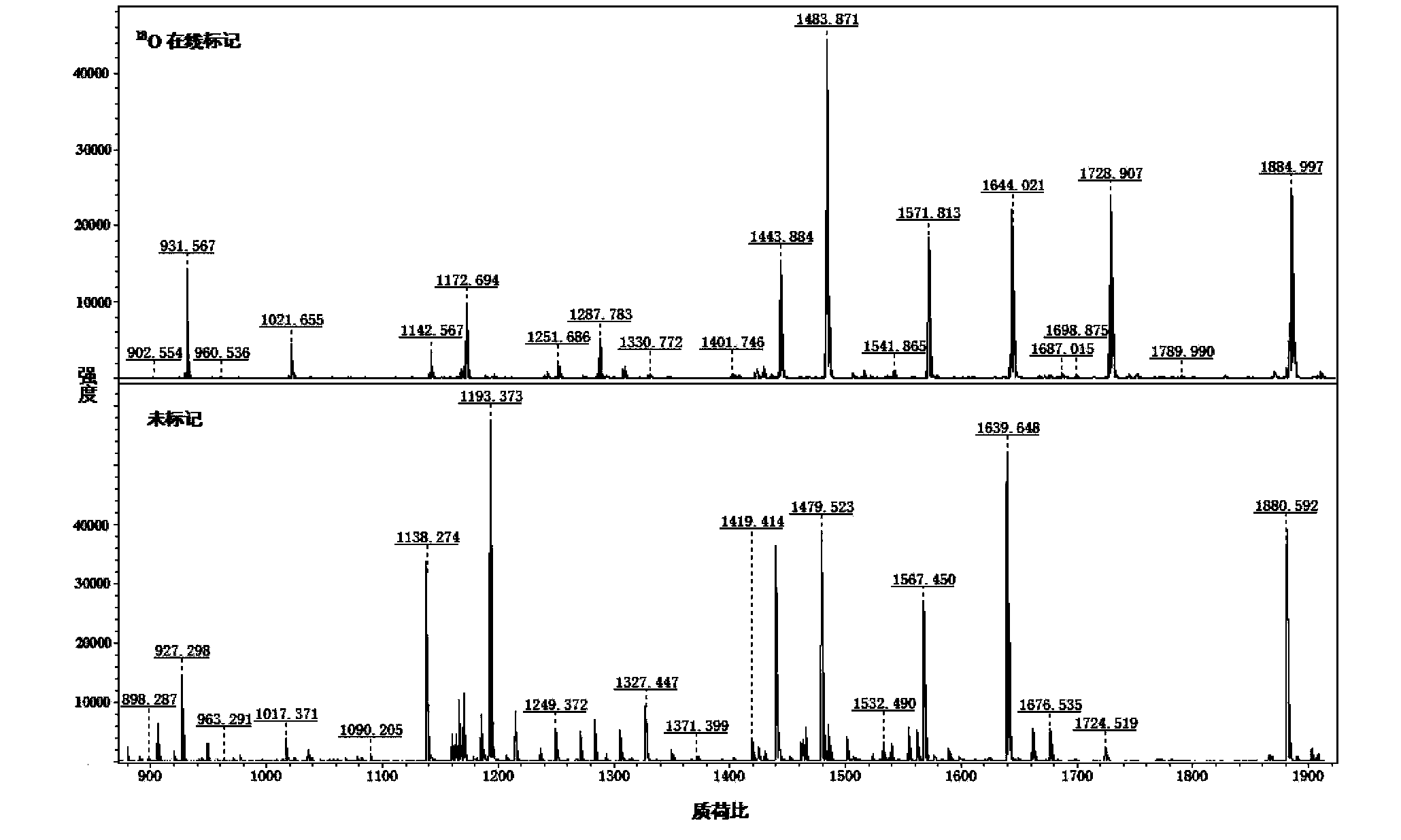 &lt;18&gt;O on-line marked protein quantitative analysis platform, and operation method thereof