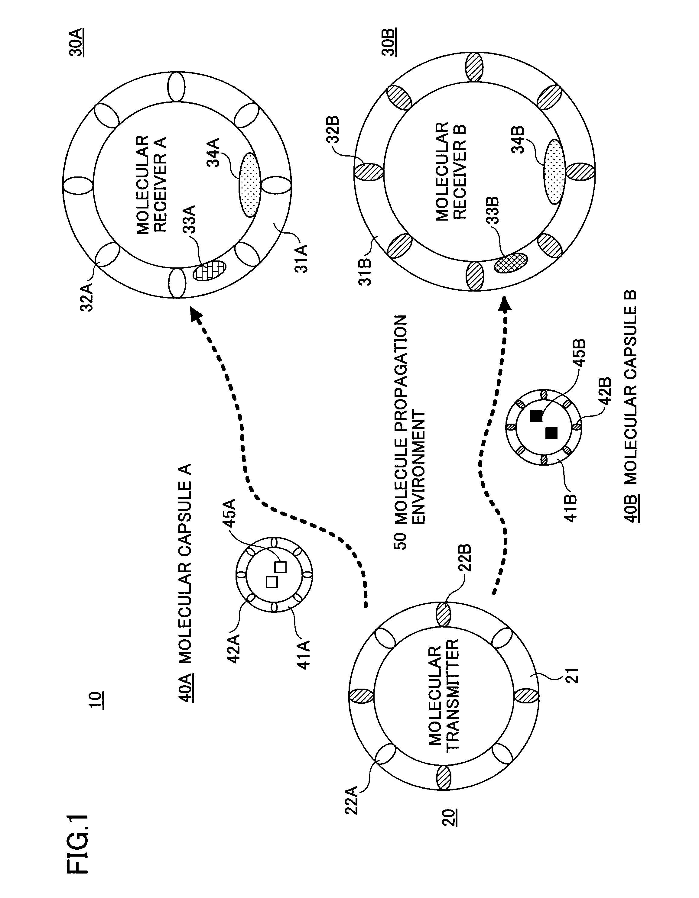 System and method for molecular communication