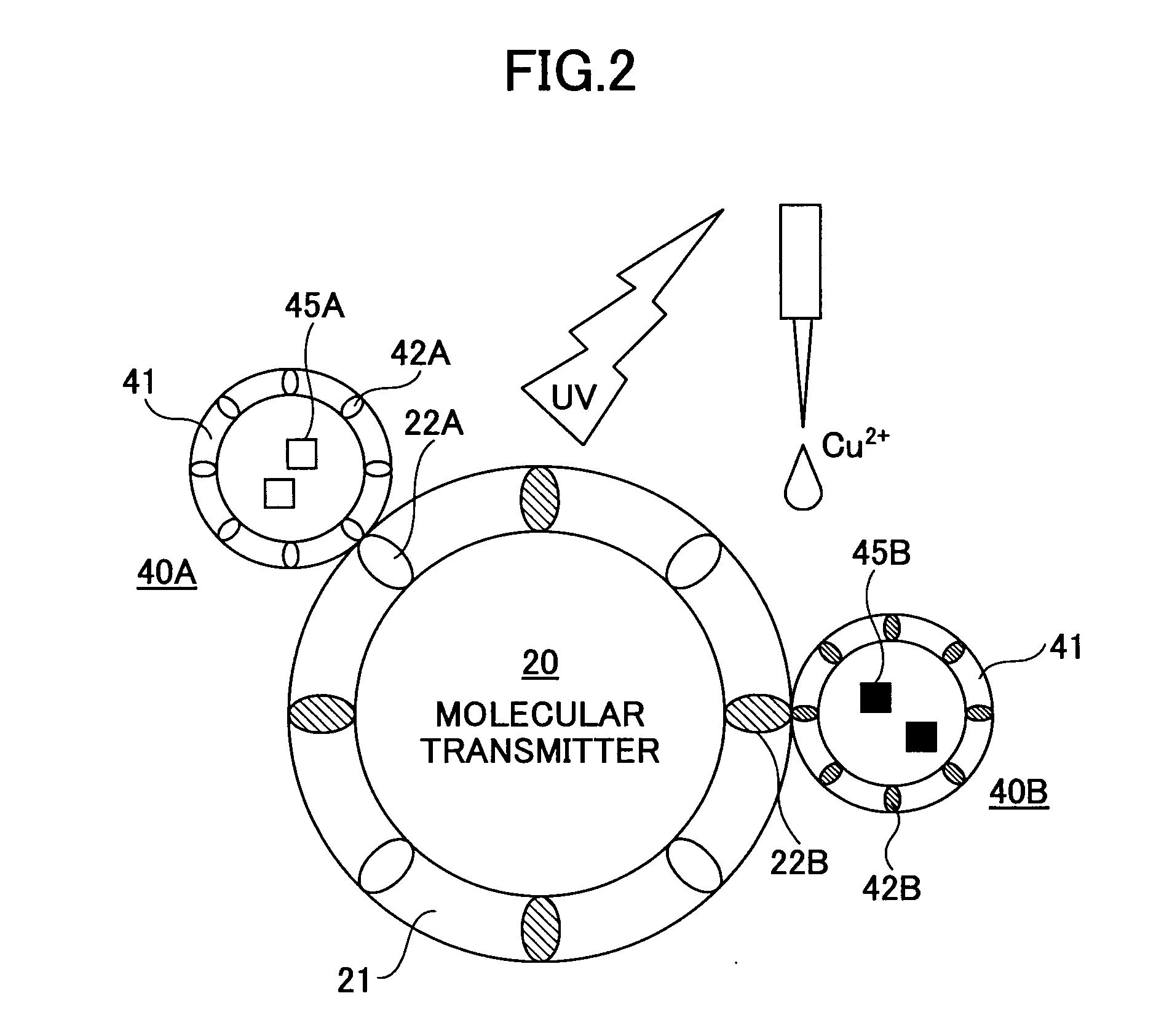 System and method for molecular communication