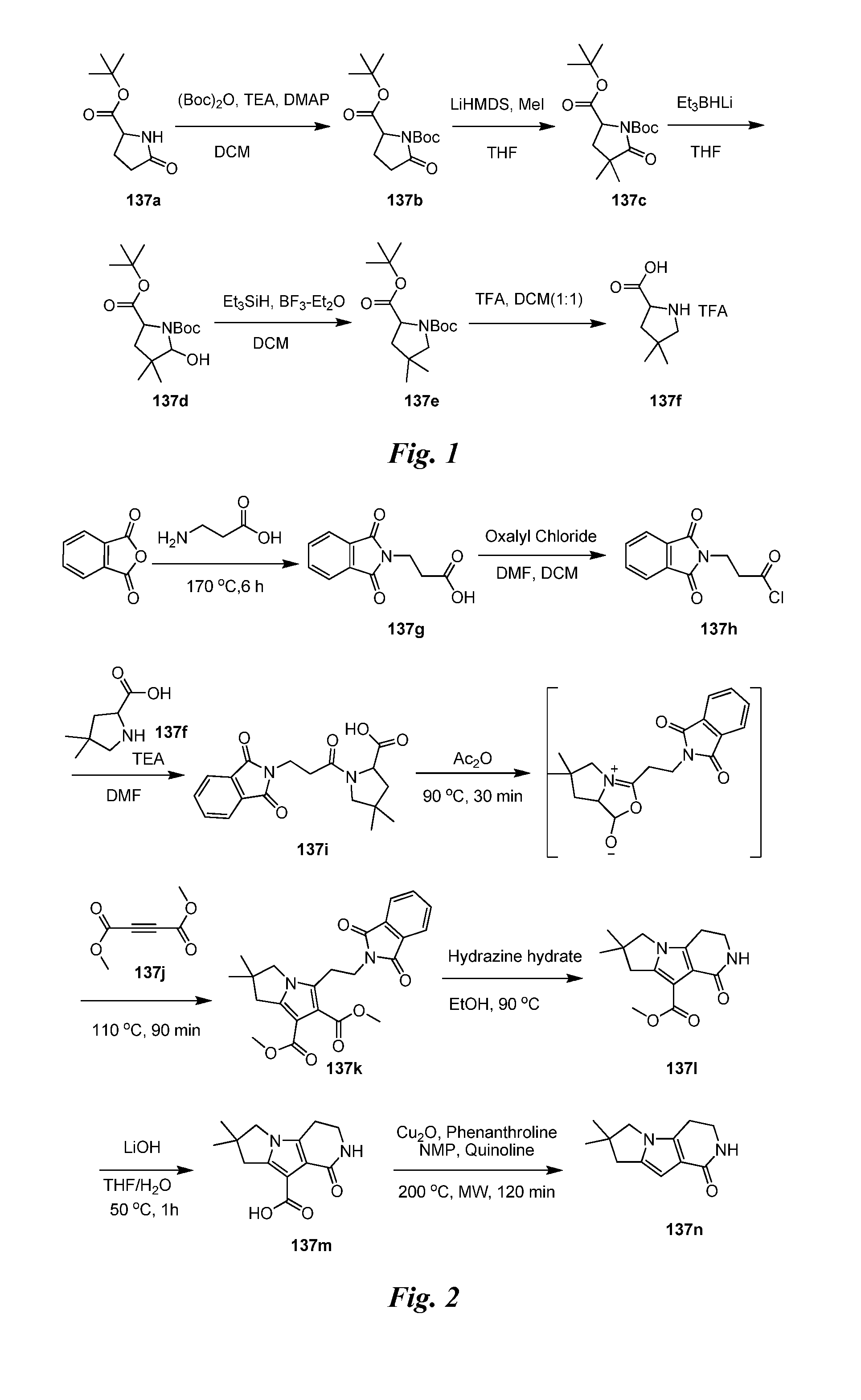 Heteroaryl pyridone and aza-pyridone amide compounds