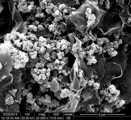 A kind of preparation method of carbon nanotube/graphene composite material