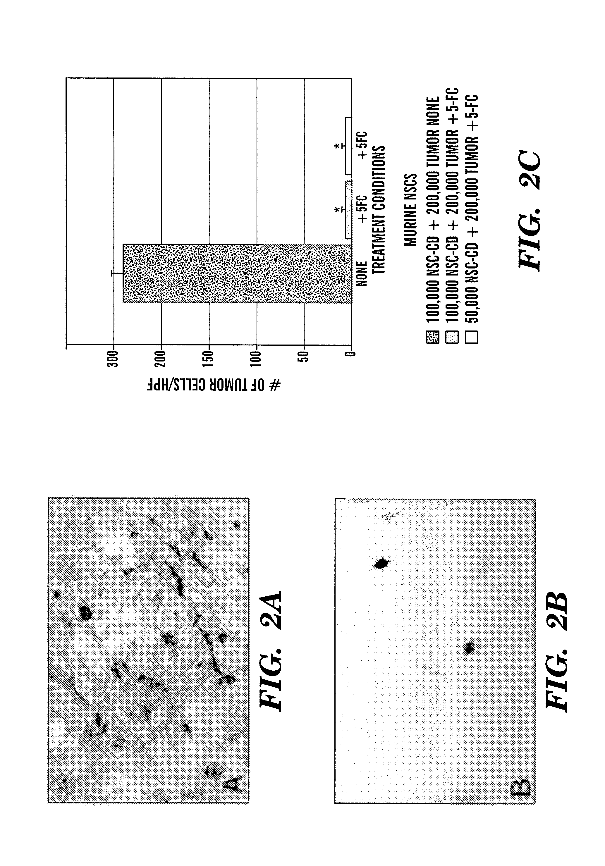 Systemic gene delivery vehicles for the treatment of tumors