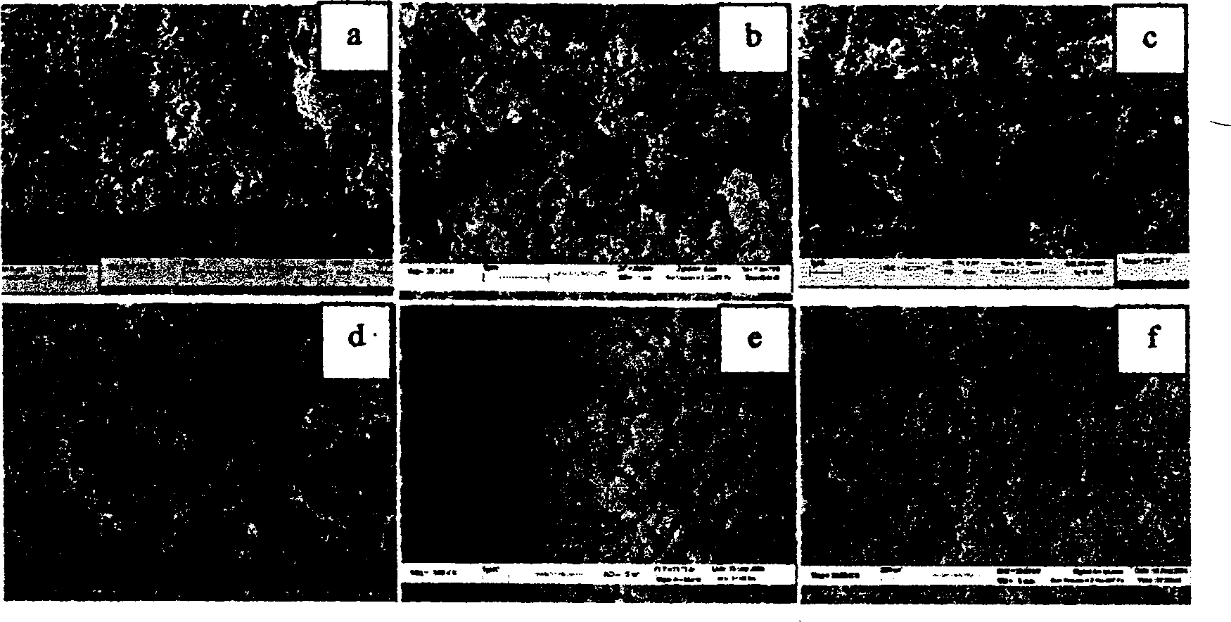 Process for producing nan-hydroxyl kietyoite/carbon nano-pipe compound coating