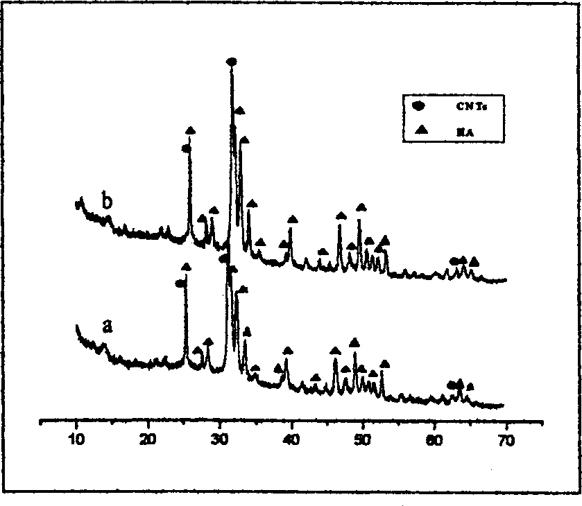 Process for producing nan-hydroxyl kietyoite/carbon nano-pipe compound coating