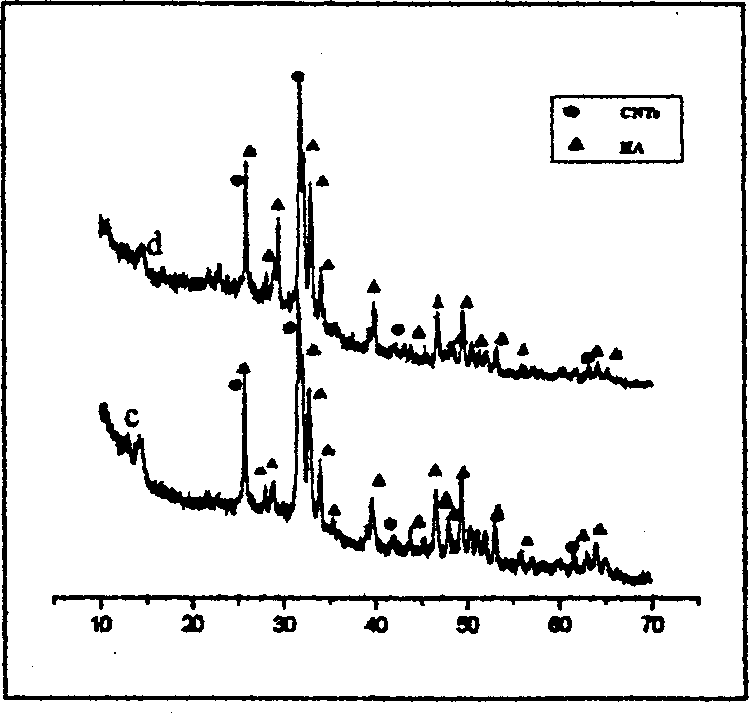 Process for producing nan-hydroxyl kietyoite/carbon nano-pipe compound coating