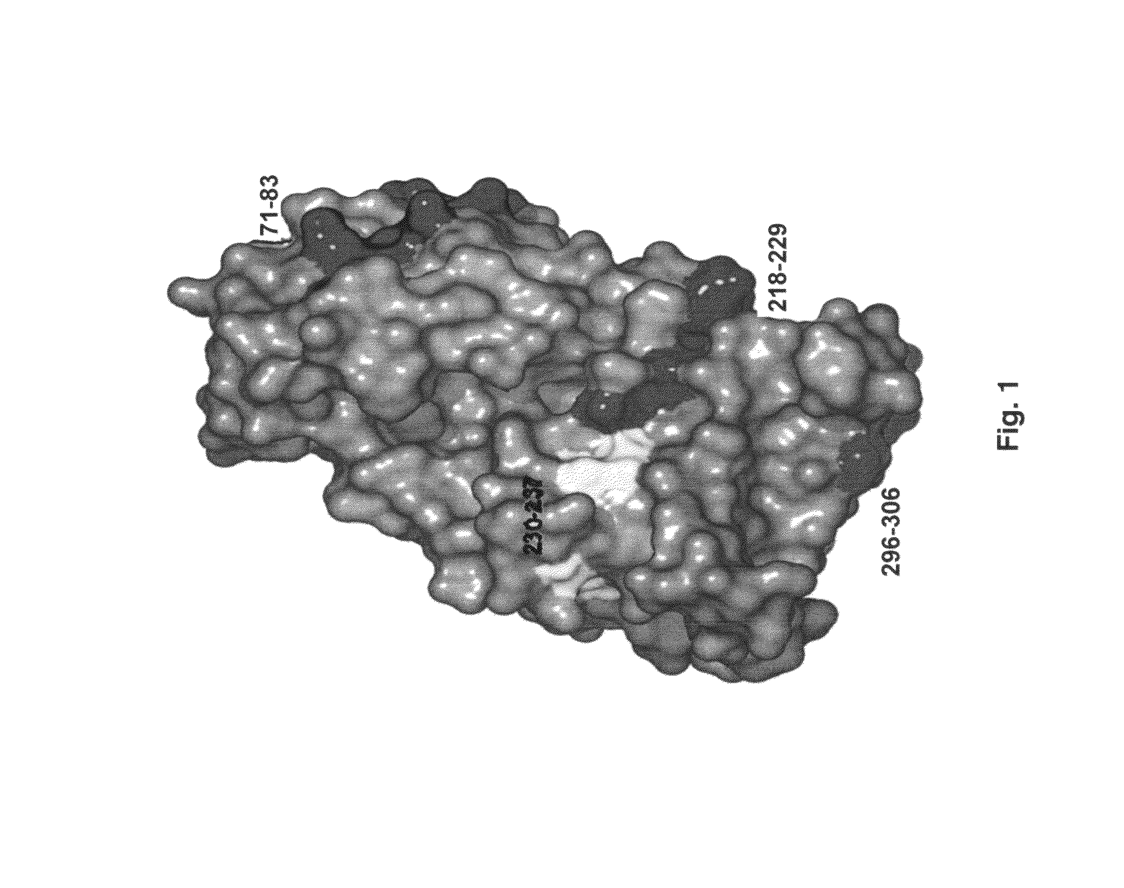 Antibody-mediated modulation of allergy