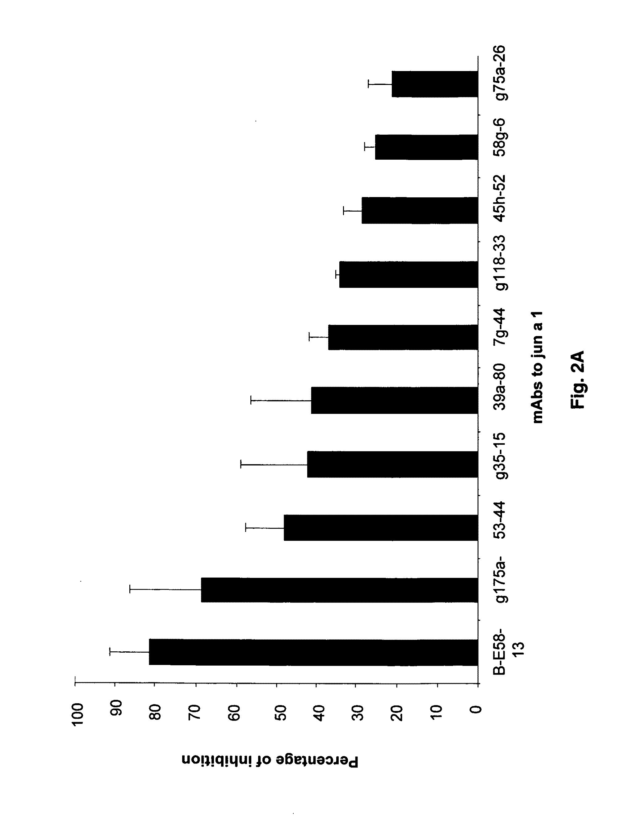 Antibody-mediated modulation of allergy