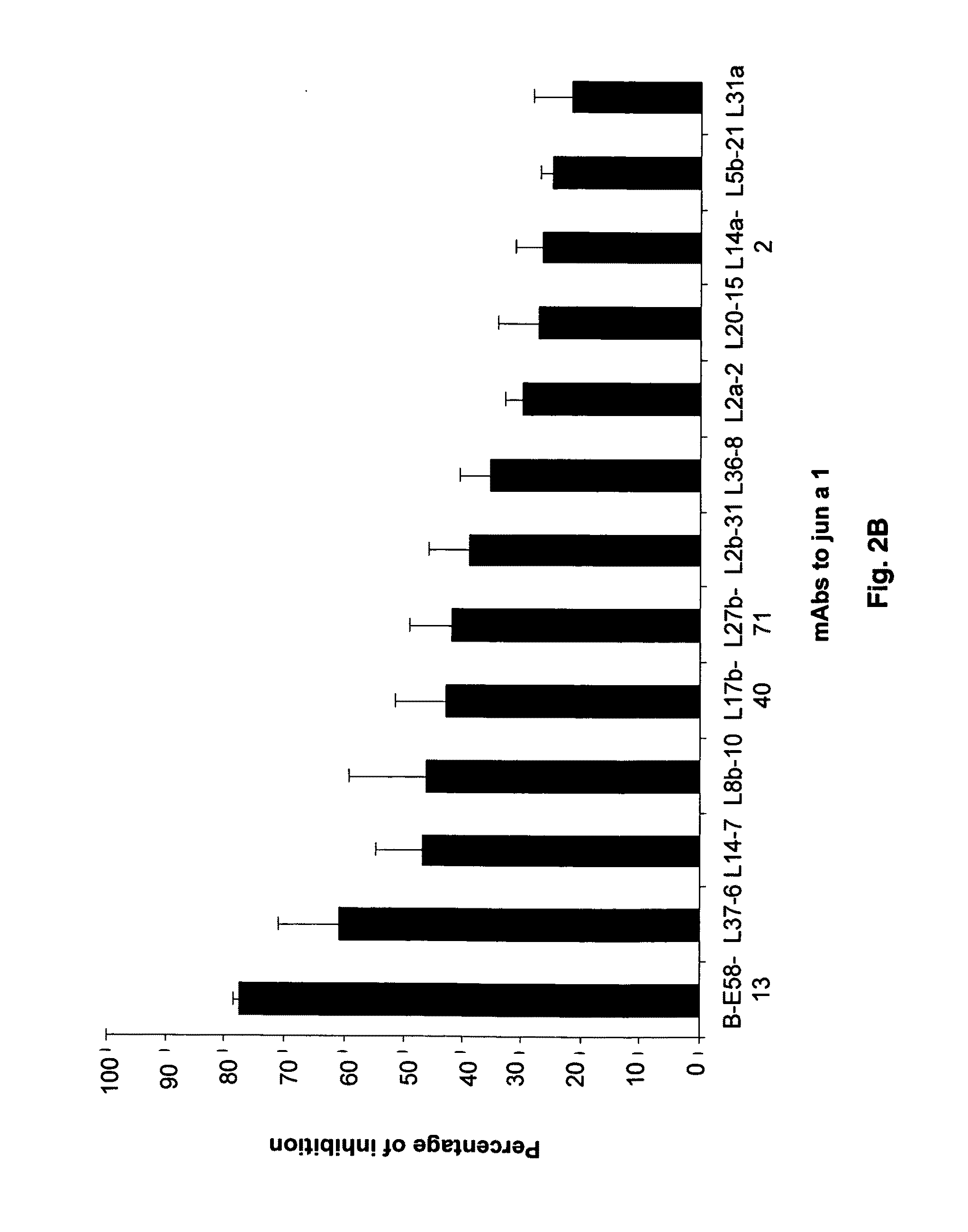 Antibody-mediated modulation of allergy