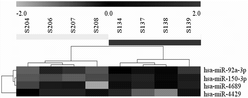 Detection and applications of microRNA serum marker of biliary atresia and cholestatic infant hepatitis syndrome