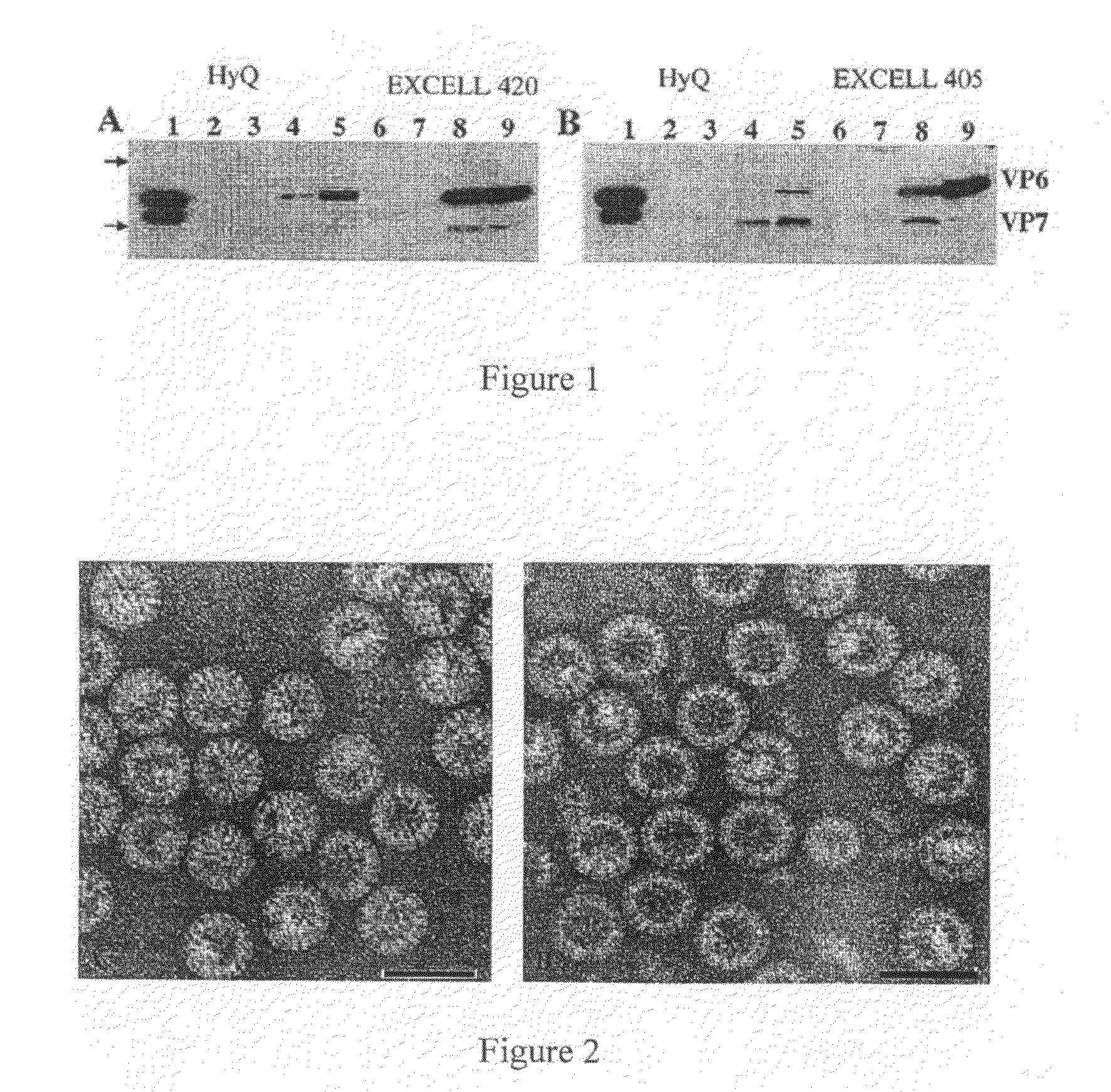 Expression and assembly of human group c rotavirus-like particles and uses thereof