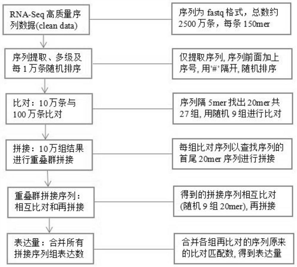 A Method for Analyzing High-Throughput Sequencing Gene Expression Levels Using Text Alignment