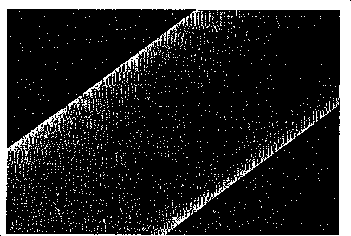 Method for preparing SiBN(C) ceramic fibre