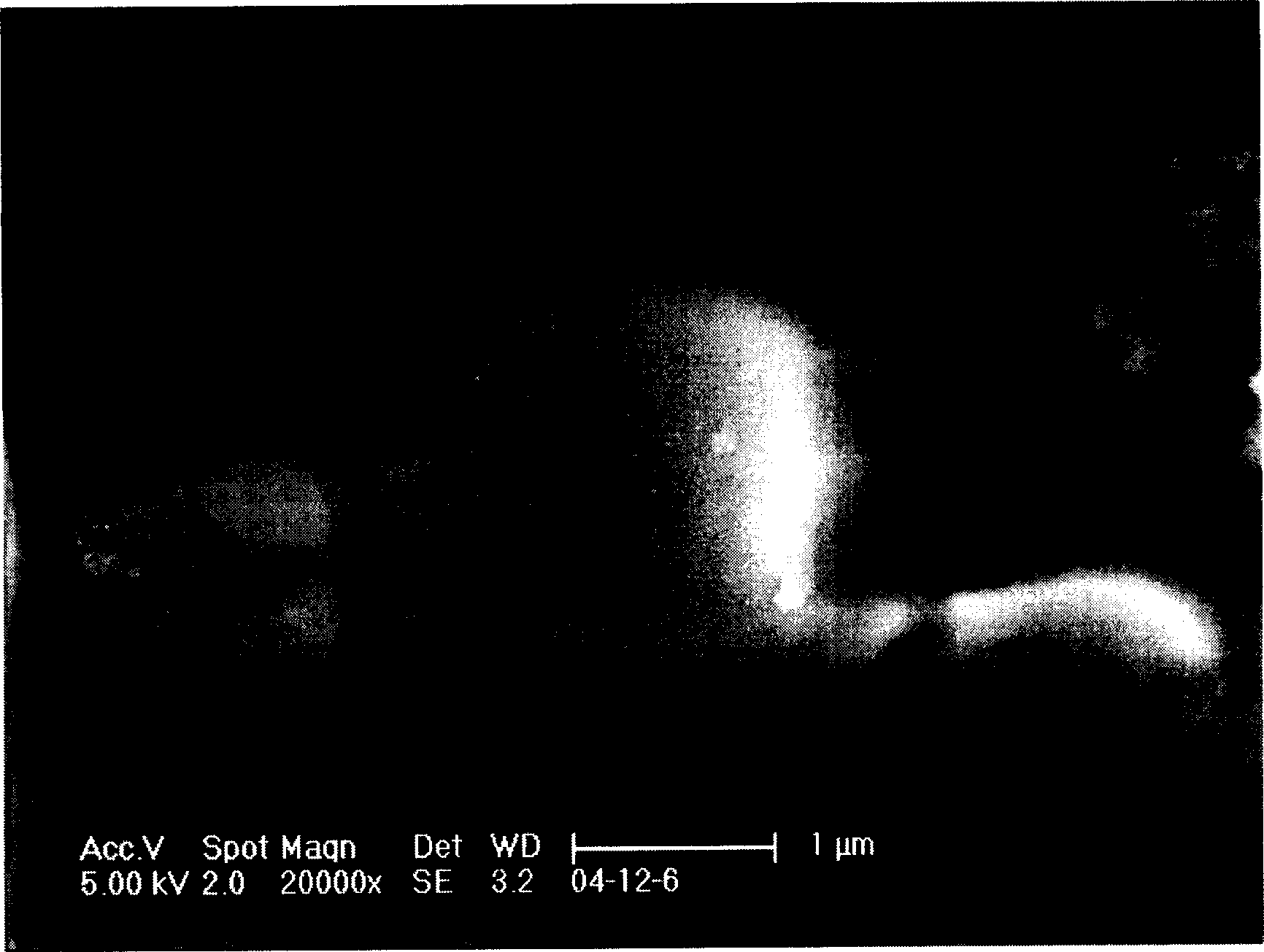 Crosslinking poly(organophosphazenes) microsphere and preparation method thereof