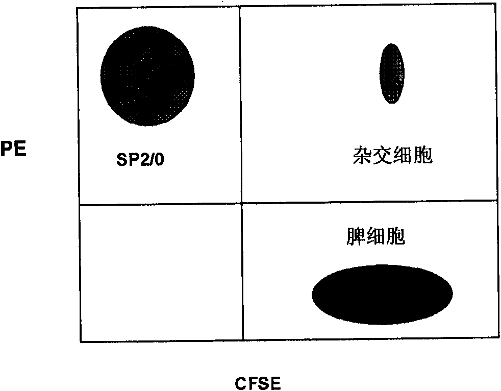 Methamphetamine monoclonal antibody kit having no cross-reactions with ephedrine and pseudoephedrine