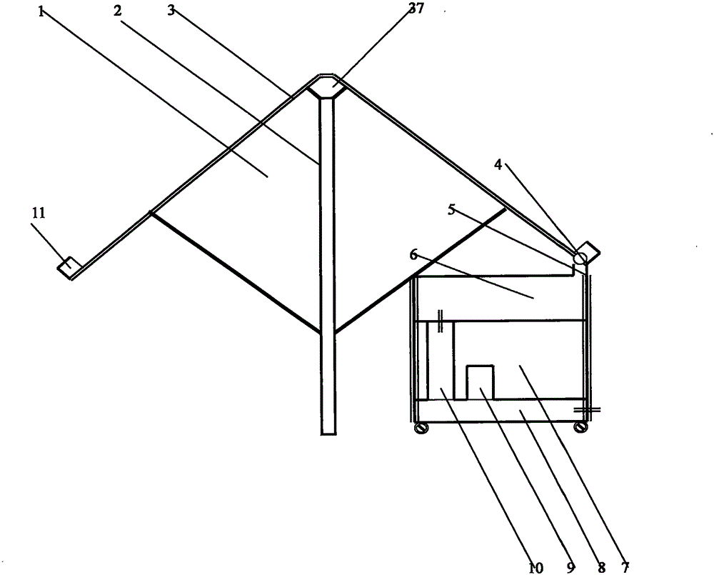 Multifunctional rainwater collection direct drinking system