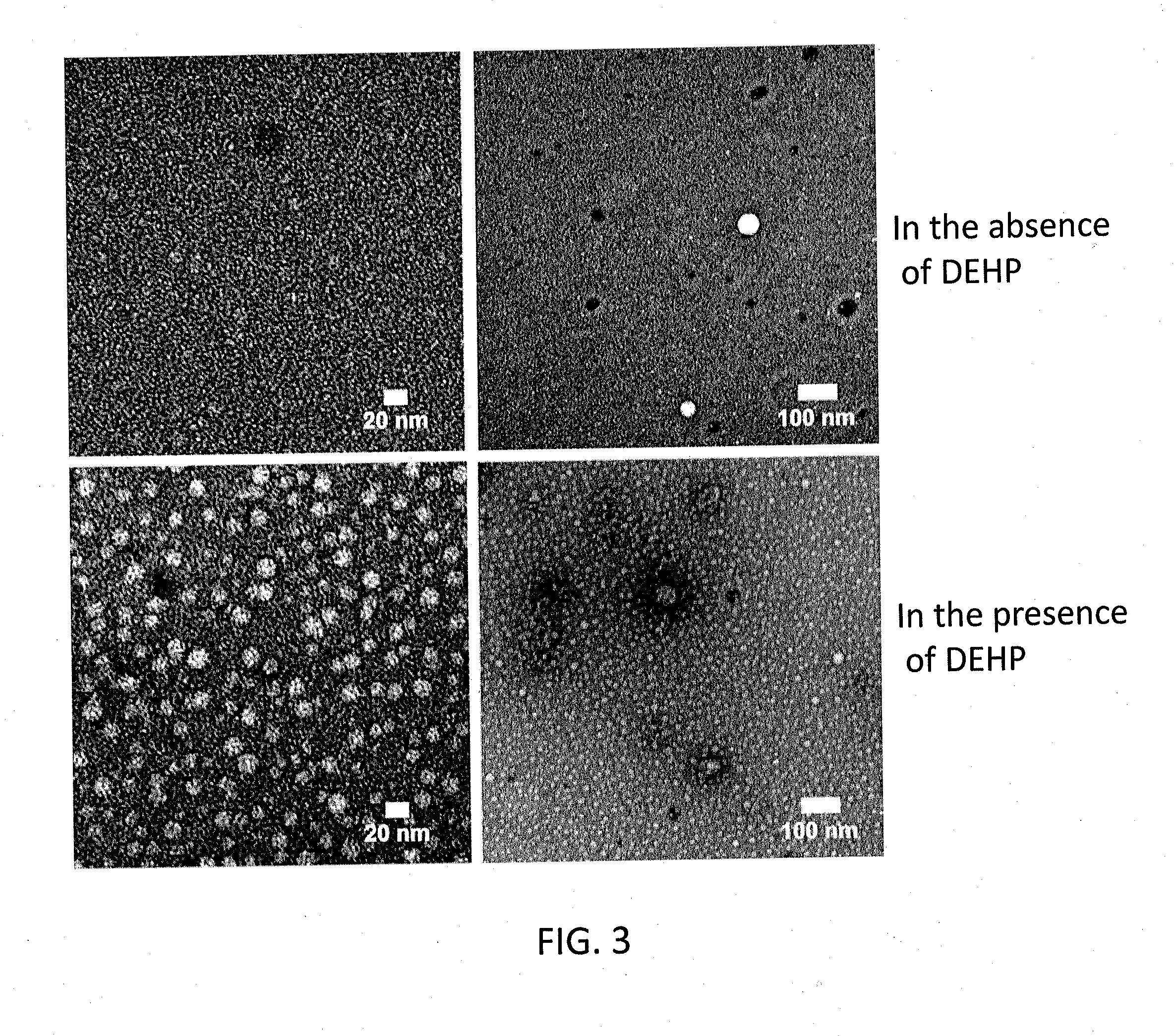 Method for producing synthetic amylospheroid