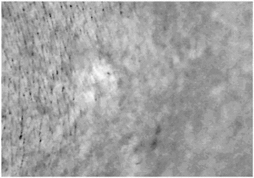 Tissue viability, blood oxygen change and blood oxygen saturation detection method and intelligent terminal