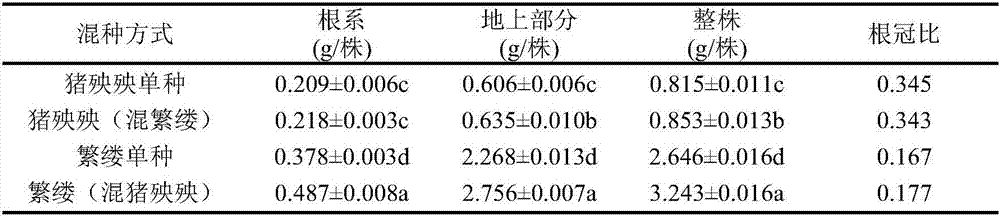 Method for improving cadmium-contaminated soil remediation capacity of chickweed