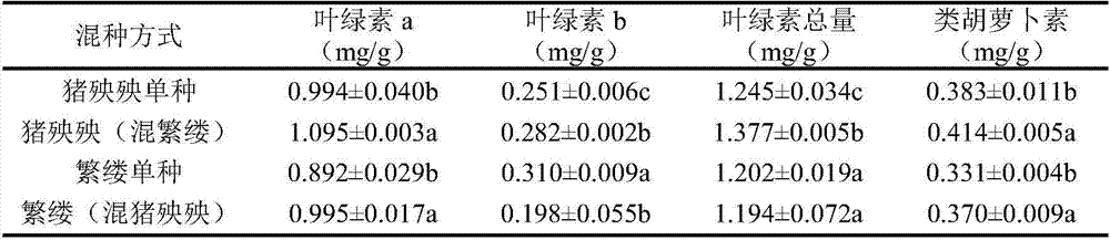 Method for improving cadmium-contaminated soil remediation capacity of chickweed