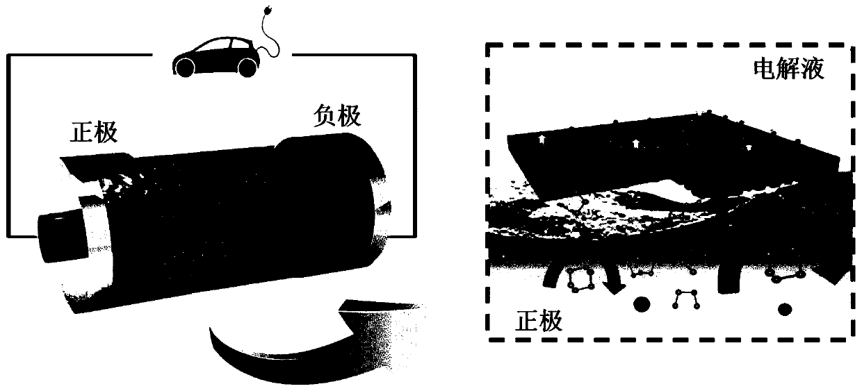 Method for constructing stable solid interface on surface of positive electrode of sulfur-based or selenium-based battery