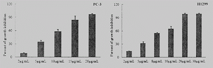 Silver nanoparticle composition for control of lung cancer and prostate cancer