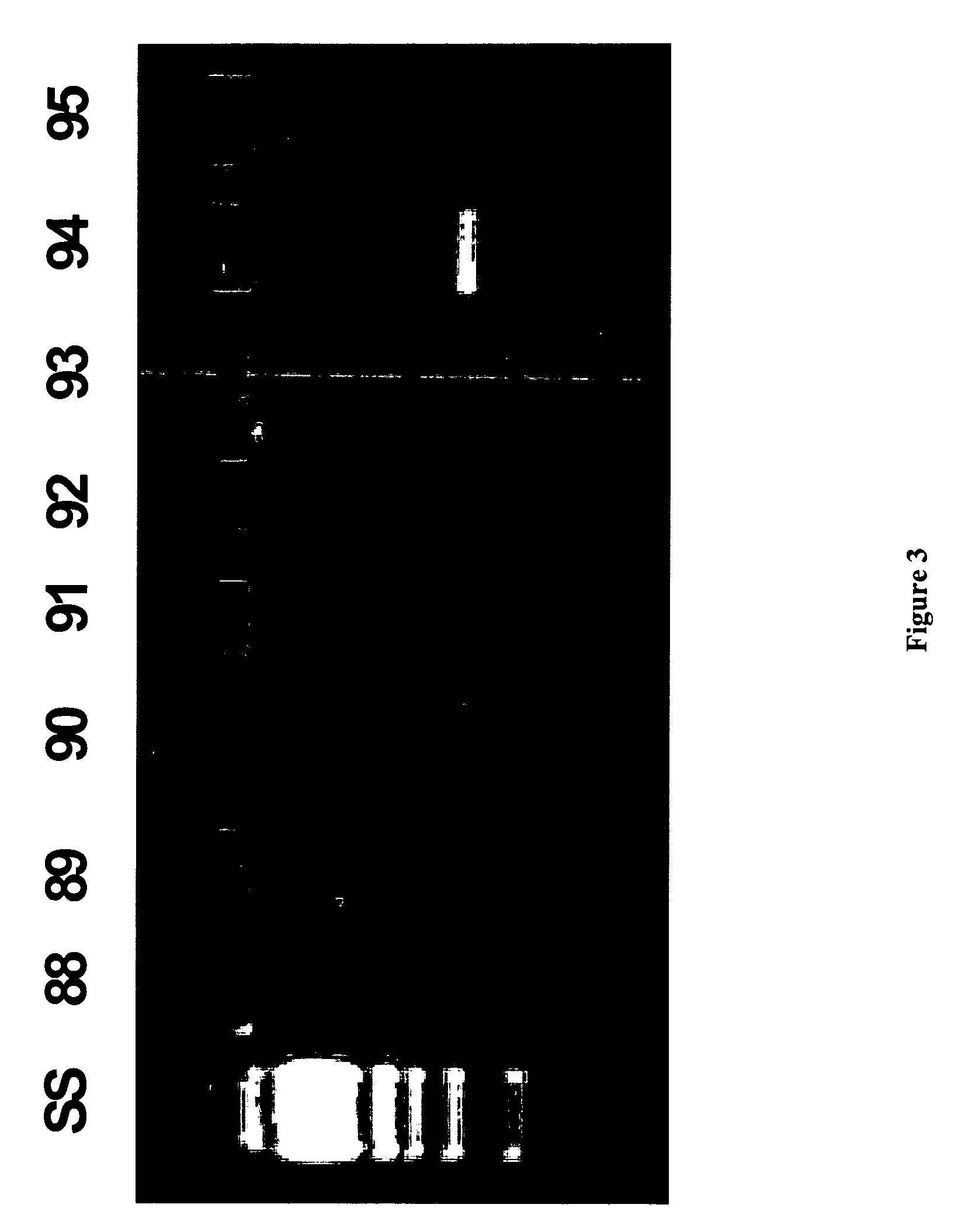 Methods for repairing degraded DNA