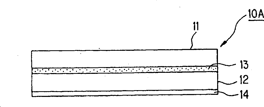 Display device and portable mobile apparatus