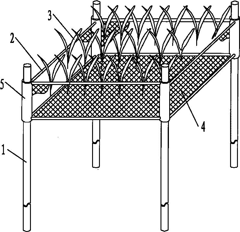 Adjustable recovering method and device of submerged plant in polluted shallow lake