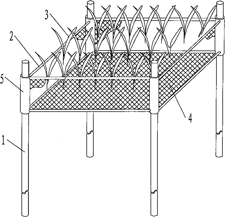 Adjustable recovering method and device of submerged plant in polluted shallow lake