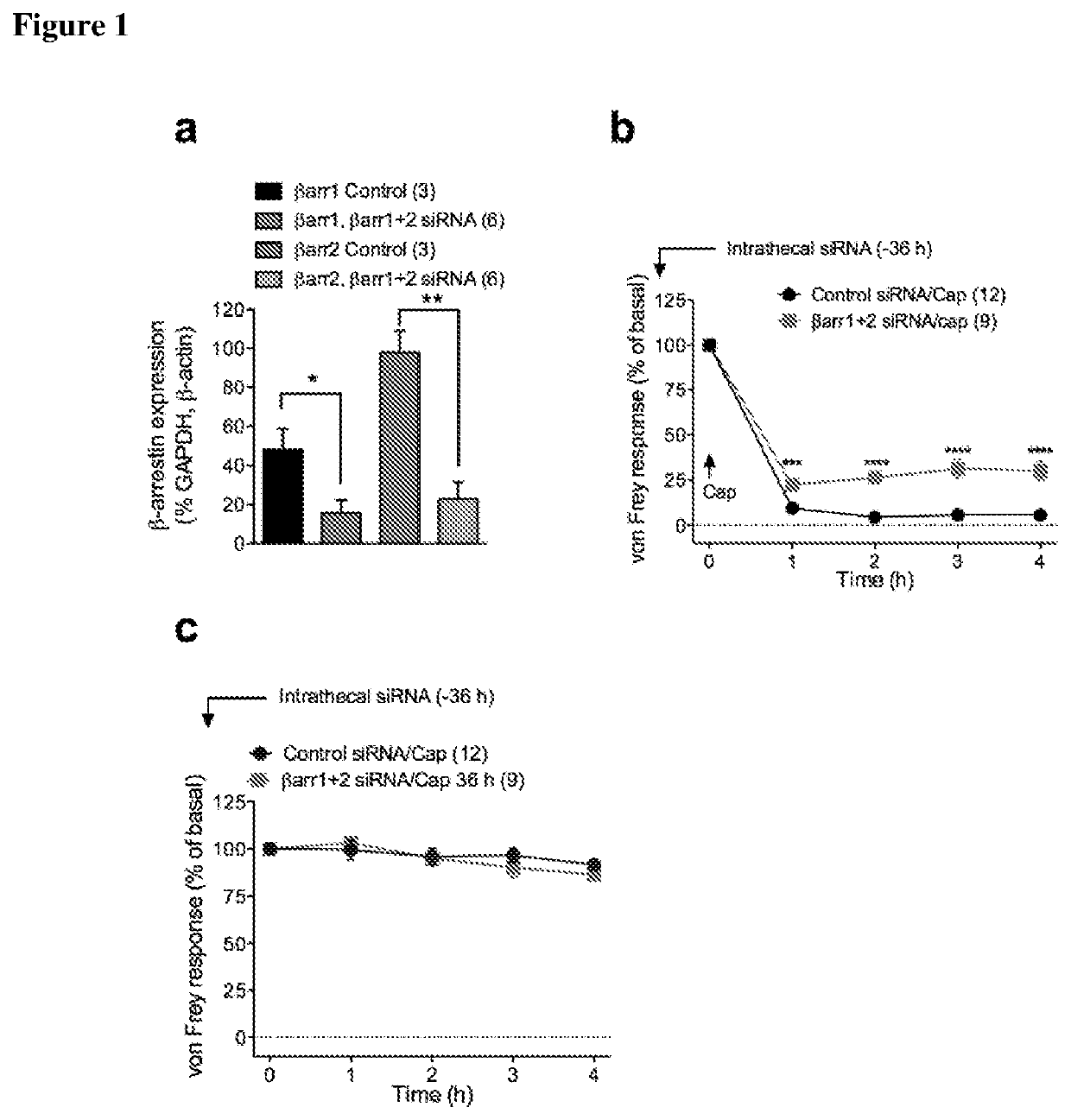 Inhibitors of beta-arrestin-neurokinin 1 receptor interactions for the treatment of pain