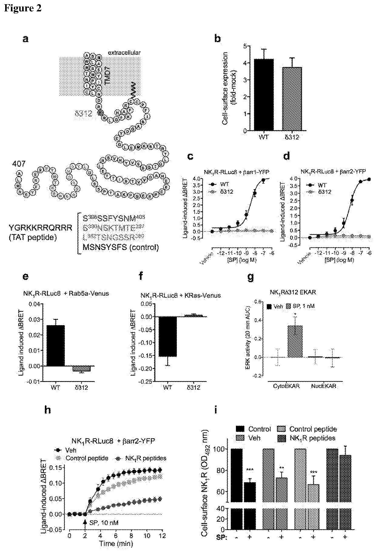 Inhibitors of beta-arrestin-neurokinin 1 receptor interactions for the treatment of pain