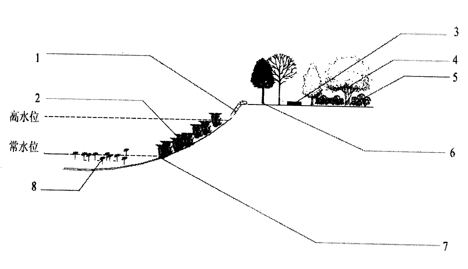 Binjiang touring type wetland revegetation mode structure