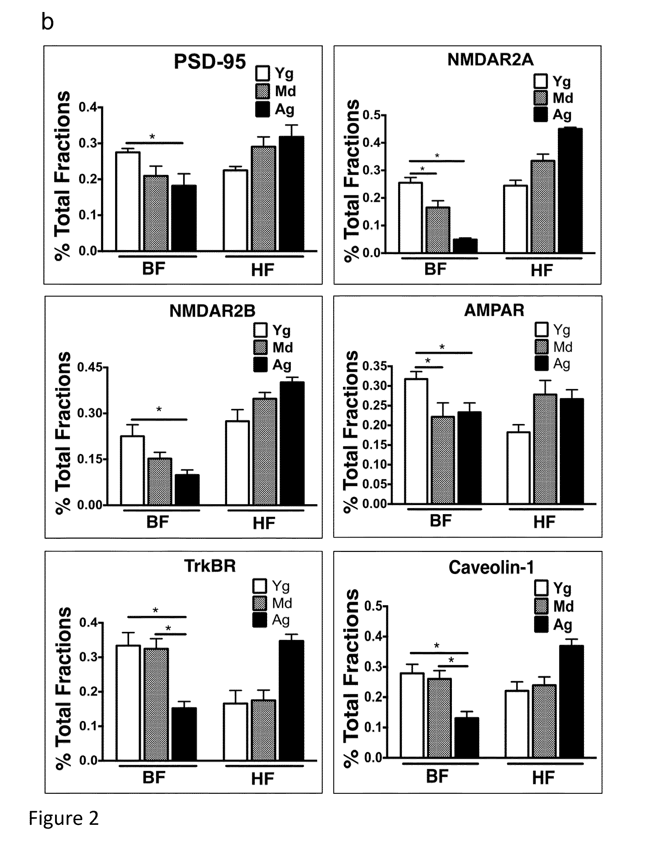 Neuronal specific targeting of caveolin expression to restore synaptic signaling and improve cognitive function in the neurodegenerative brain and motor function in spinal cord