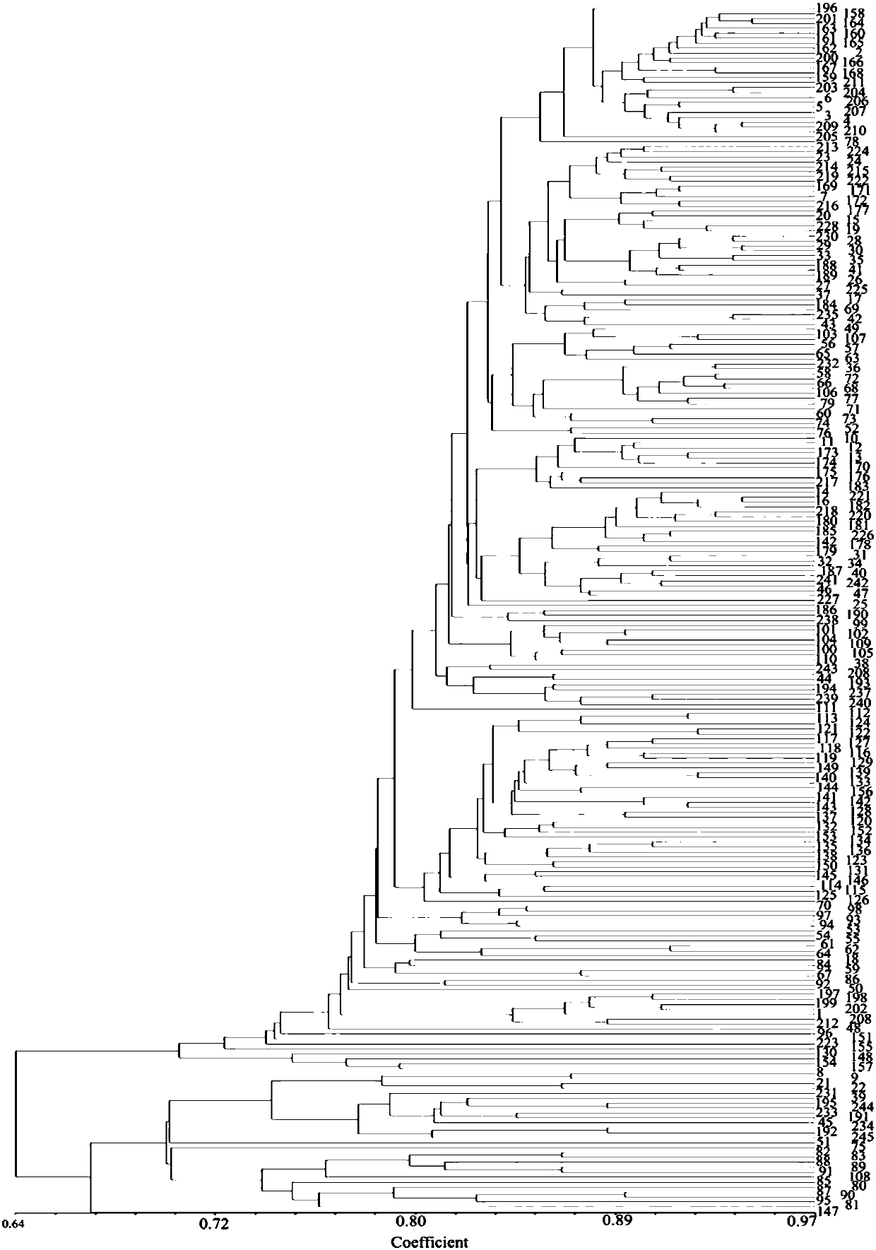 SNP marker for analyzing rice genetic diversity and identifying varieties, primers and application