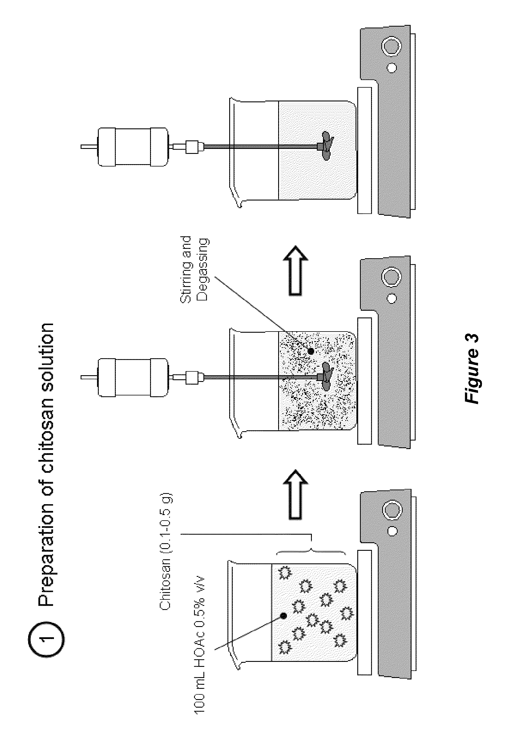 Tannin-chitosan composites