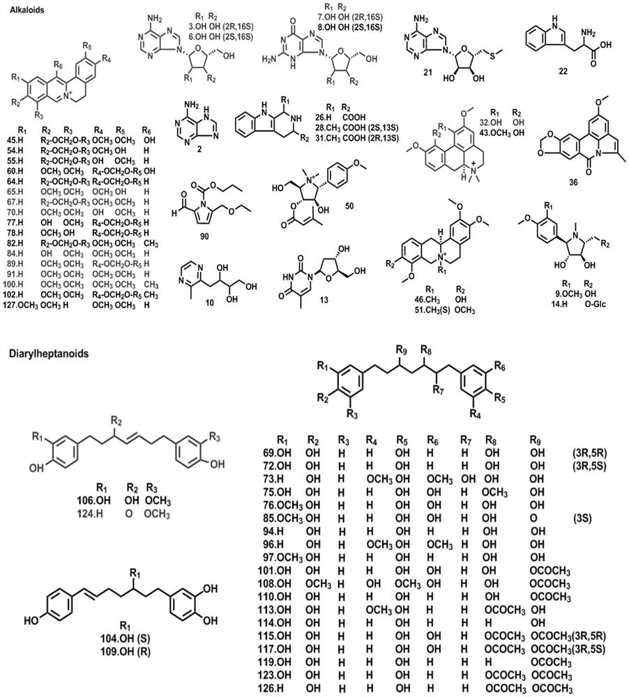 Pharmaceutical composition for eliminating phlegm and removing dampness and application thereof