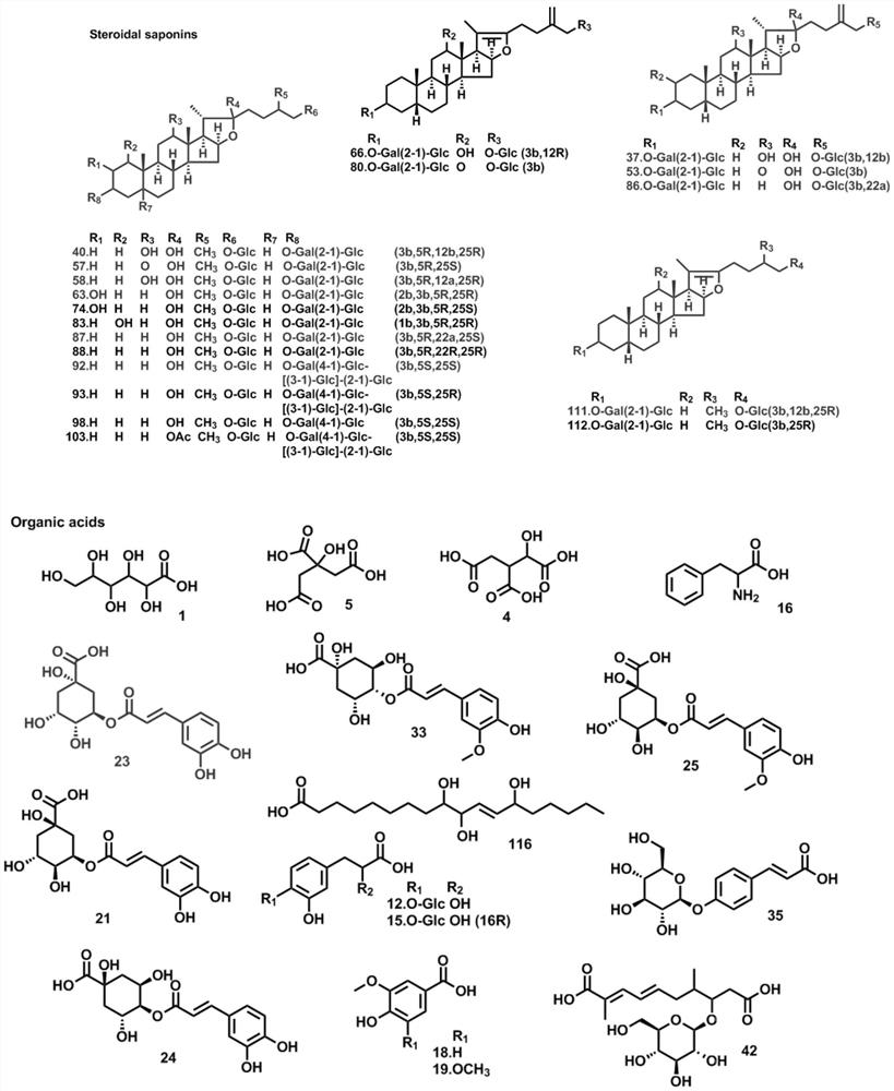 Pharmaceutical composition for eliminating phlegm and removing dampness and application thereof