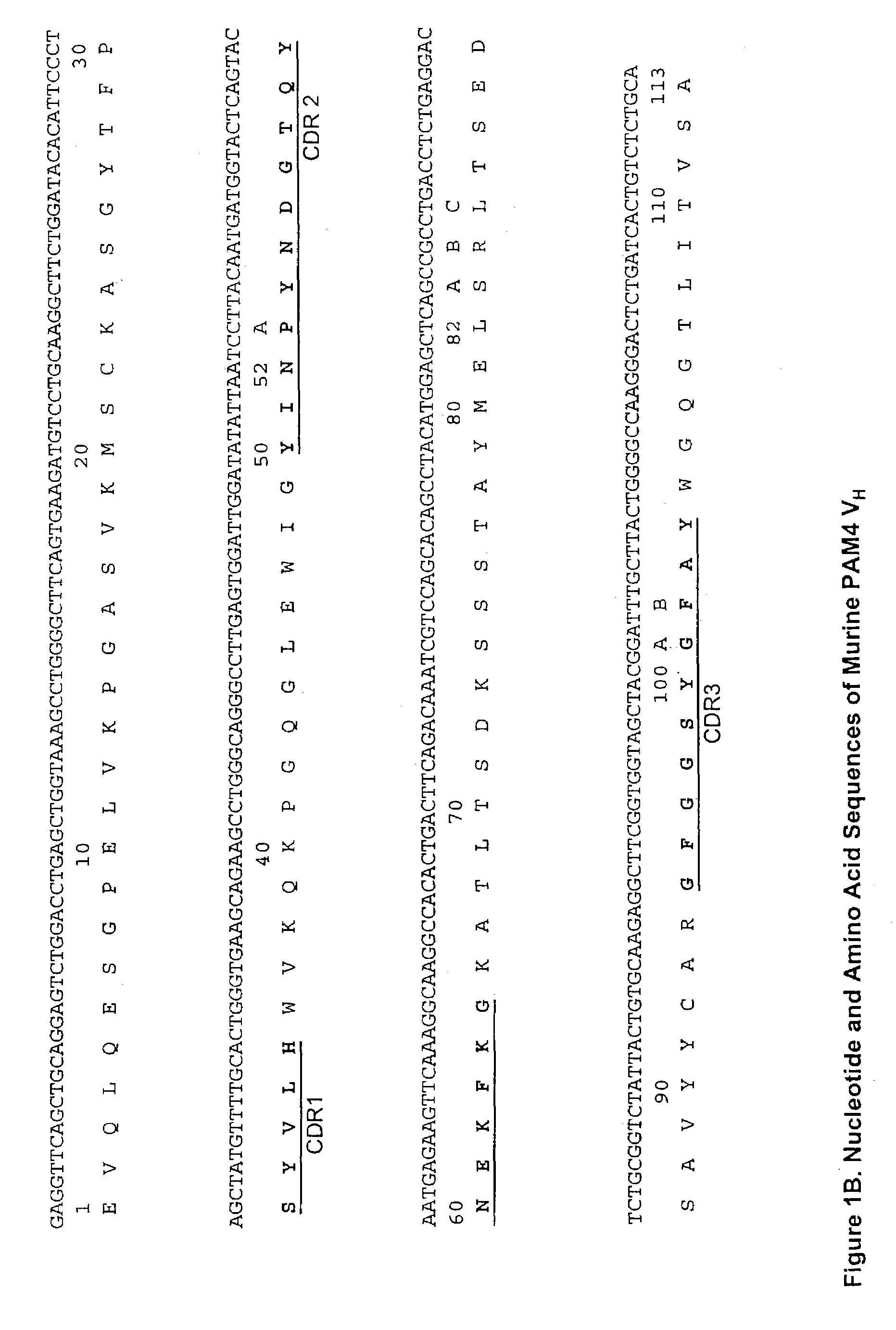 Monoclonal antibody hPAM4