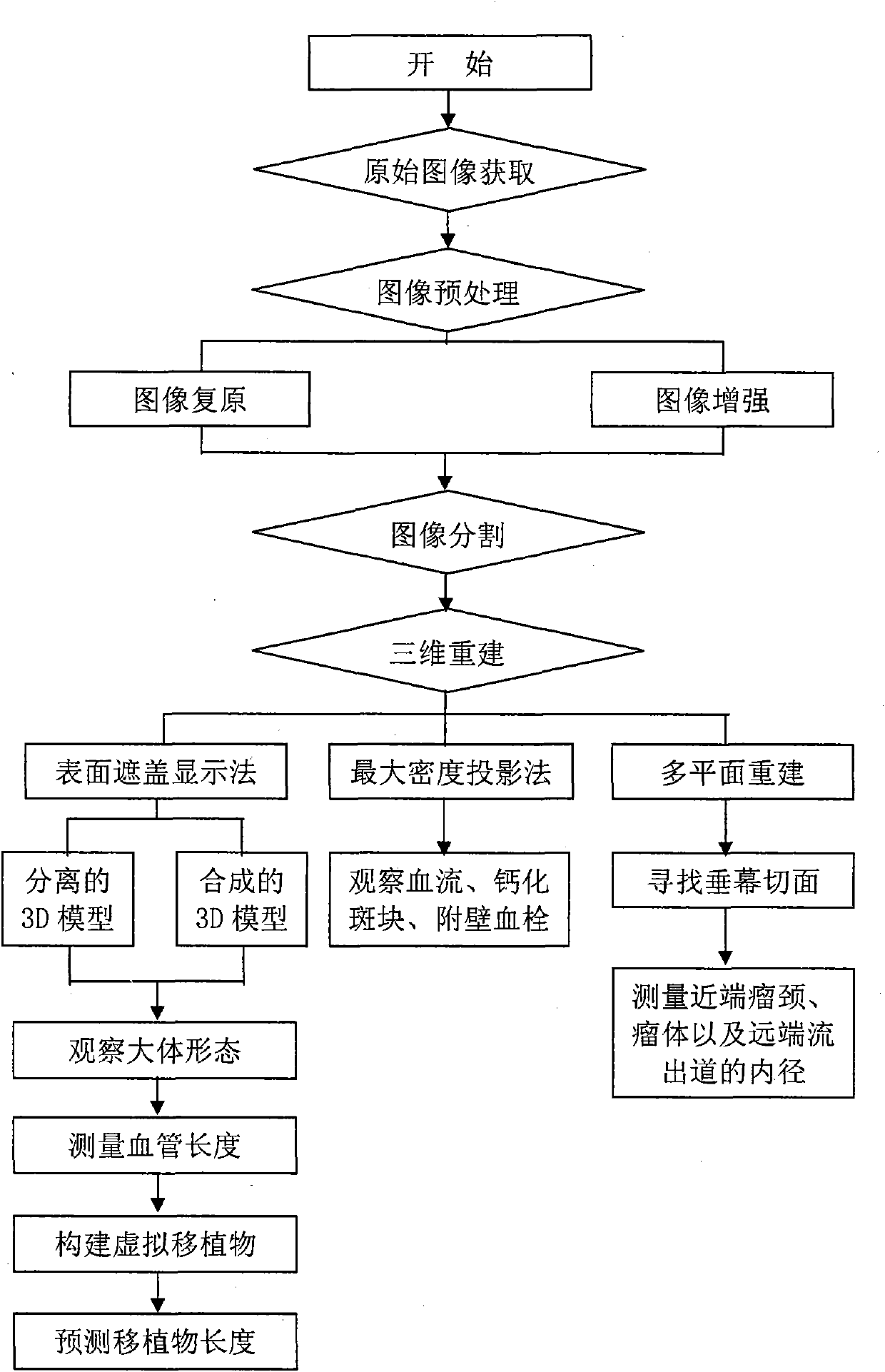 Blood vessel computer aided iconography evaluating system